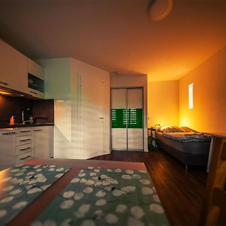 Gottwaldhaus-Freiberg-Apartment / A Екстер'єр фото
